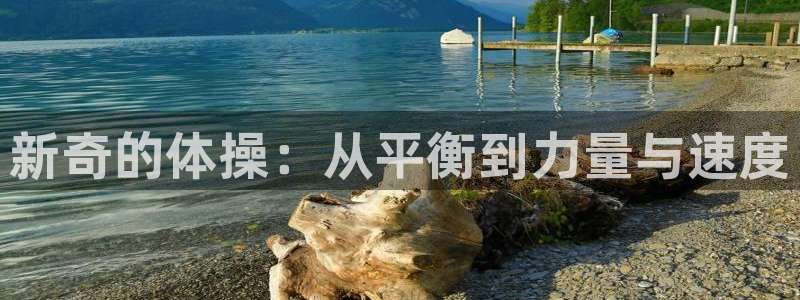 利记官方正版app官方：新奇的体操：从平衡到力量与速