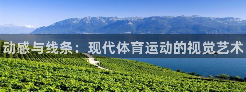 利记官网下载招商电话号码查询是多少：动感与线条：现代