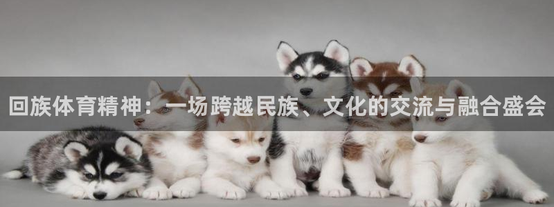 利记官网下载招商电话是多少啊：回族体育精神：一场跨越