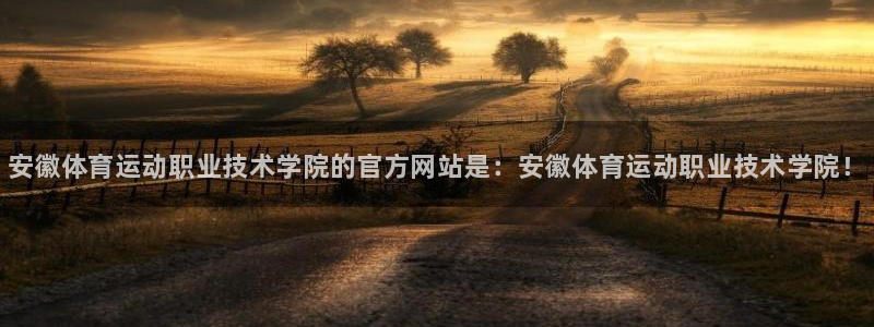 利记官方正版app科技：安徽体育运动职业技术学院的官