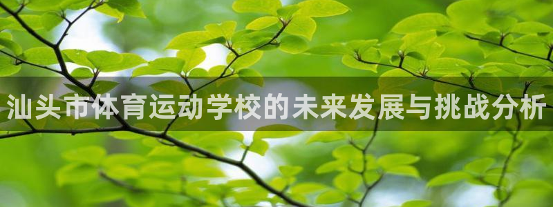 利记官方平台体育：汕头市体育运动学校的未来发展与挑战