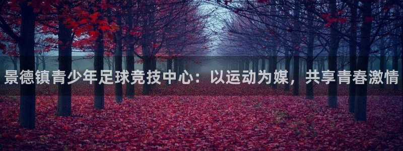 利记官方正版app娱乐首页官网下载：景德镇青少年足球