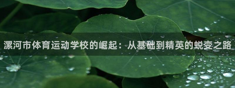 利记官网下载开户：漯河市体育运动学校的崛起：从基础到