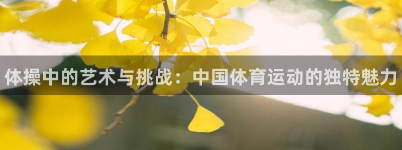 利记官方正版app娱乐平台：体操中的艺术与挑战：中国体育运动