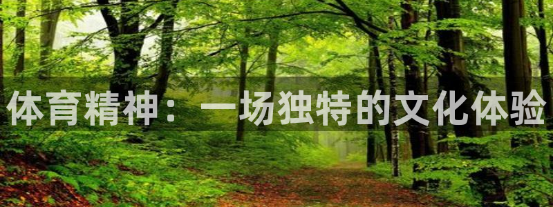 利记官方正版app神州：体育精神：一场独特的文化体验