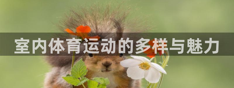 利记官方正版app集团logo：室内体育运动的多样与魅力