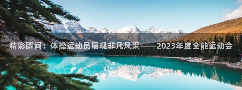 利记官网下载招商电话：精彩瞬间：体操运动员展现非凡风采——2