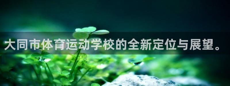 利记官方正版app娱乐网站：大同市体育运动学校的全新定位与展