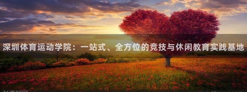 利记官网下载是干嘛的公司:深圳体育运动学院:一站式、全方位的