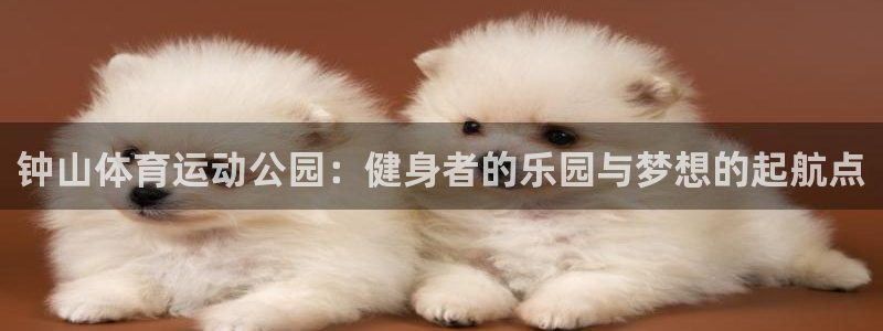 利记官网下载招商电话