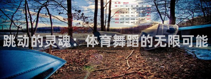 利记官网下载平台是正规平台吗知乎：跳动的灵魂：体育舞蹈的无限