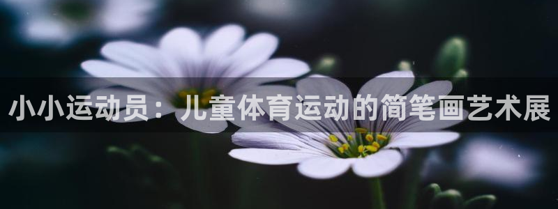 利记官方正版app神州：小小运动员：儿童体育运动的简笔画艺术