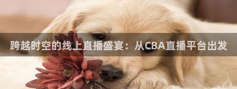 柠檬直播足球高清免费直播：跨越时空的线上直播盛宴：从CBA直播平台出发